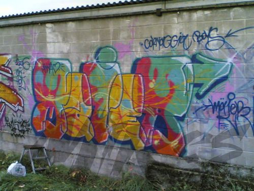 MAIER  SETTIMO